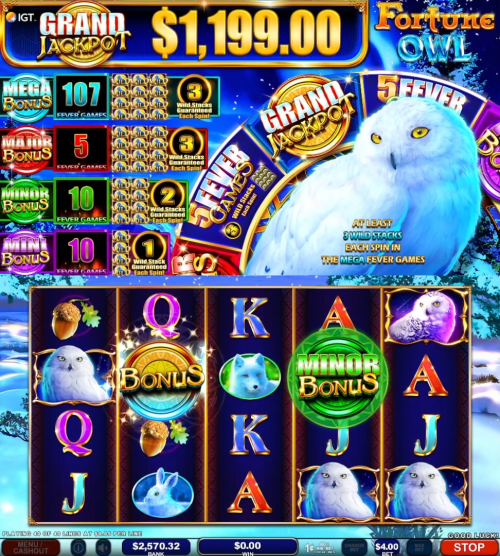 Fortune Owl - Image 3